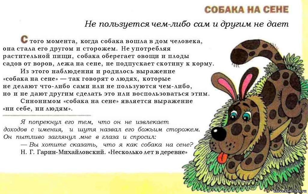 О происхождении выражения «на фоксе» и его историческом контексте