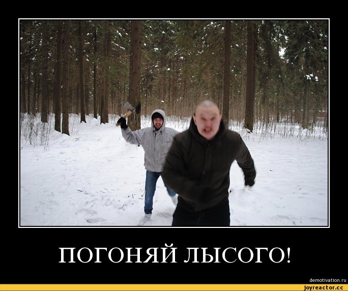 Гонять лысого – смысл и происхождение выражения
