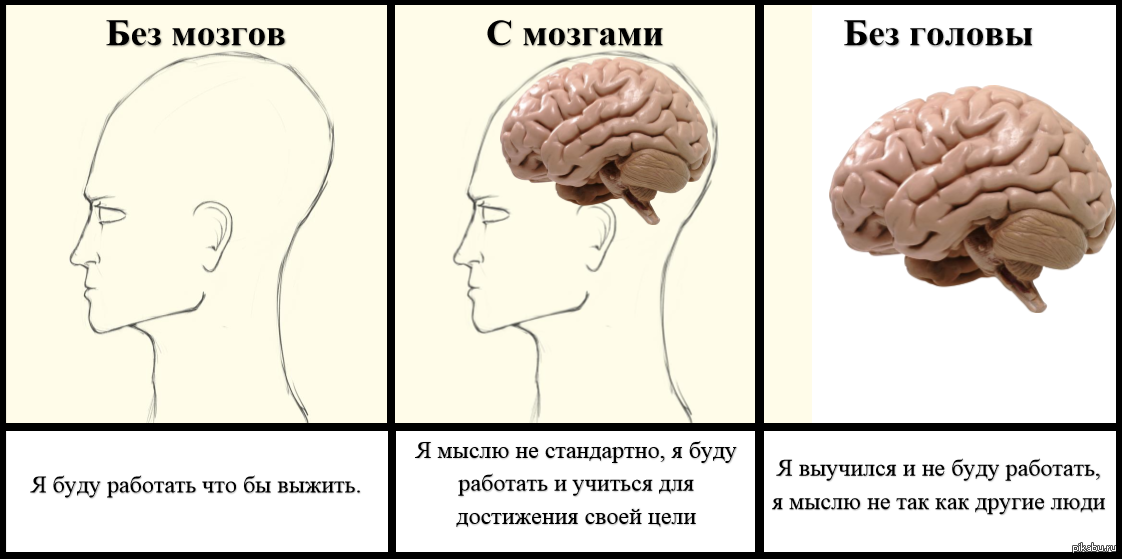 История происхождения выражения «выедать мозг»