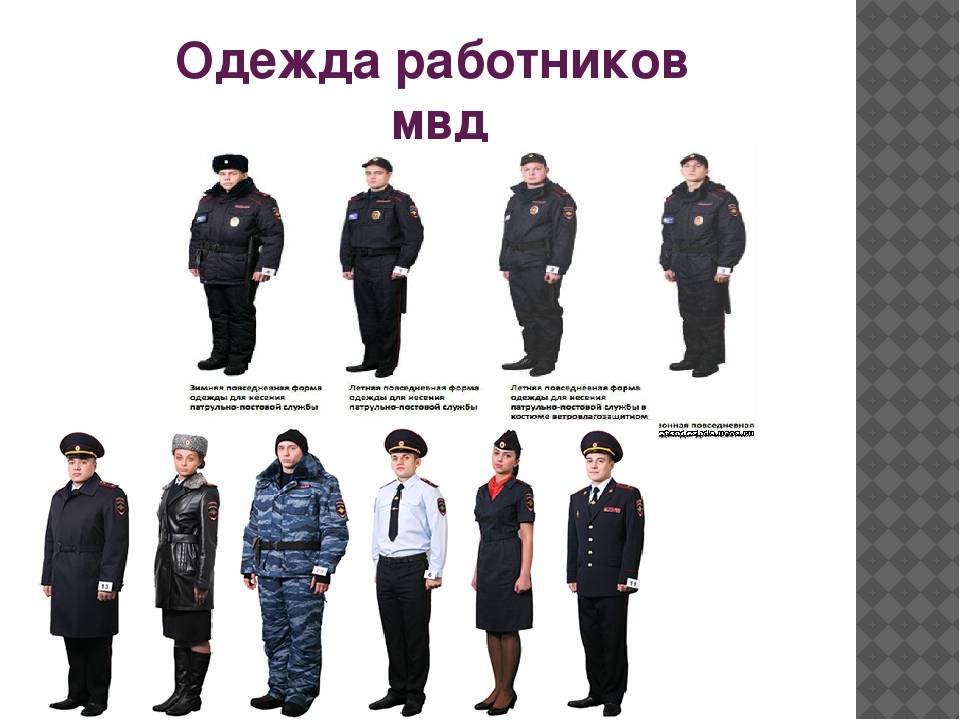 Сигнал загорск мвд: что это значит и как его расшифровать?