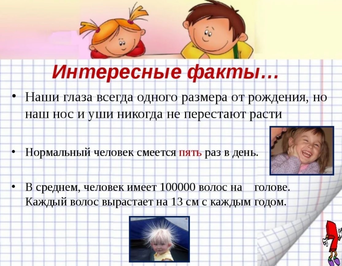 Смежные и вертикальные углы. как найти смежные углы - uhistory.ru