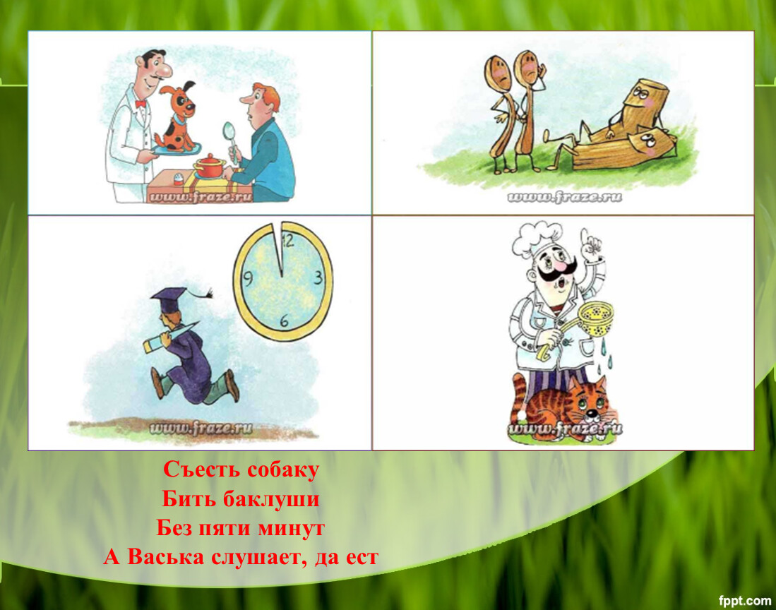 Откуда взялись такие выражения