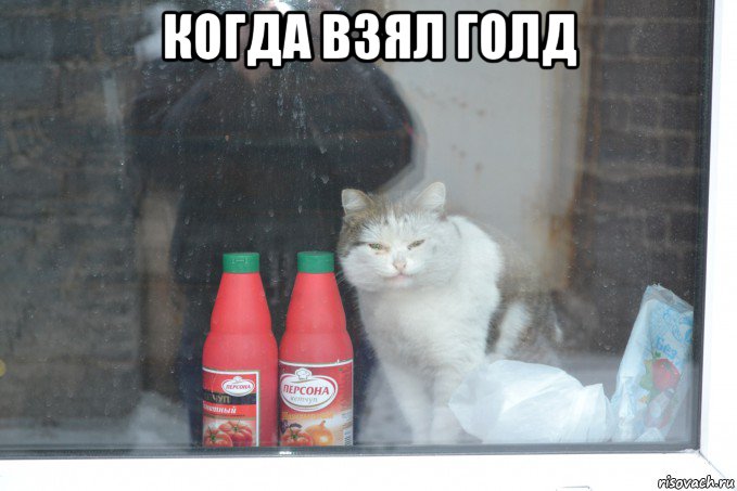 Понятие бытия в философии: основные концепции и понятия