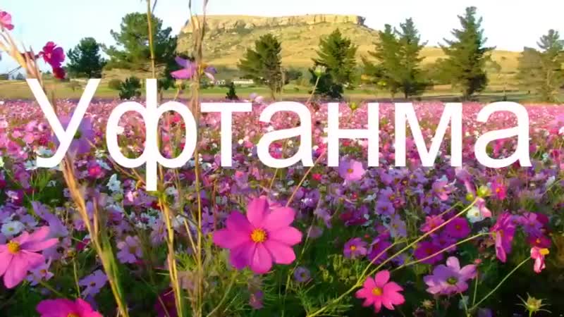 Татарский язык: список языков, похожих на татарский