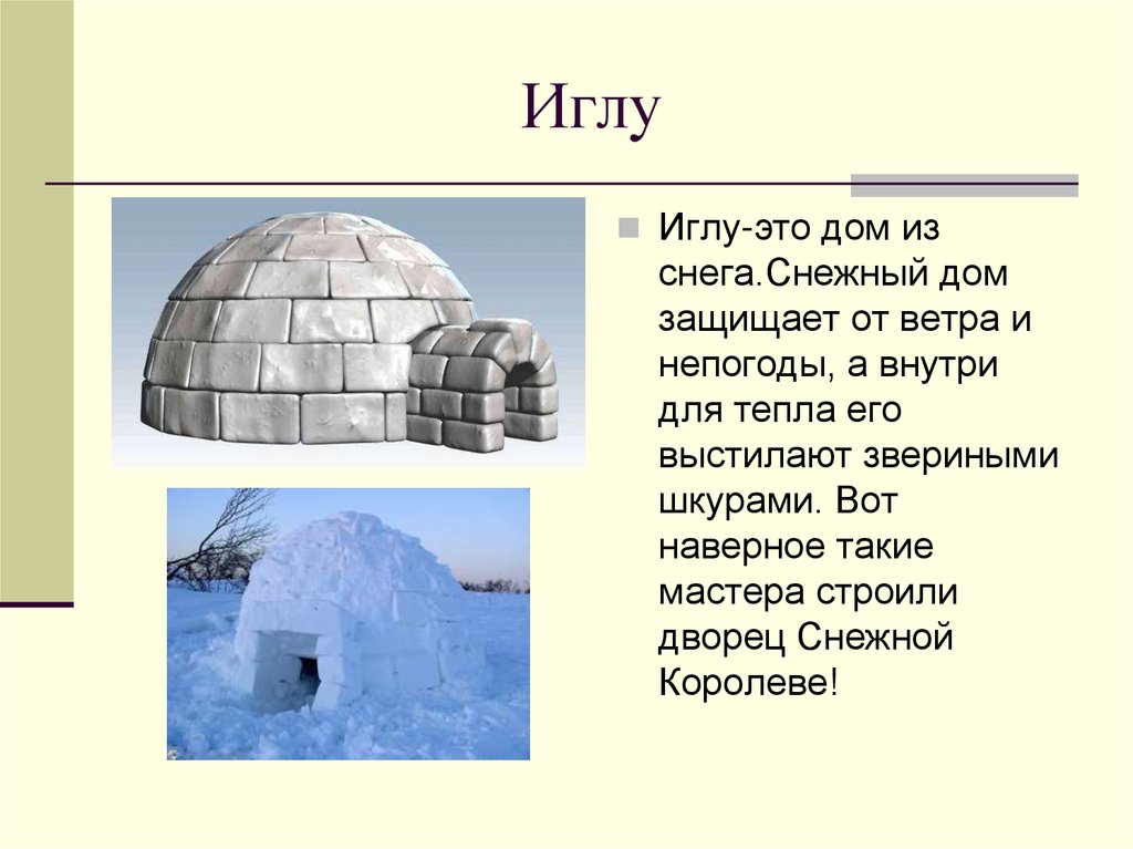 Экологические факторы и их влияние на живые организмы 5 класс онлайн-подготовка на ростелеком лицей | тренажеры и разбор