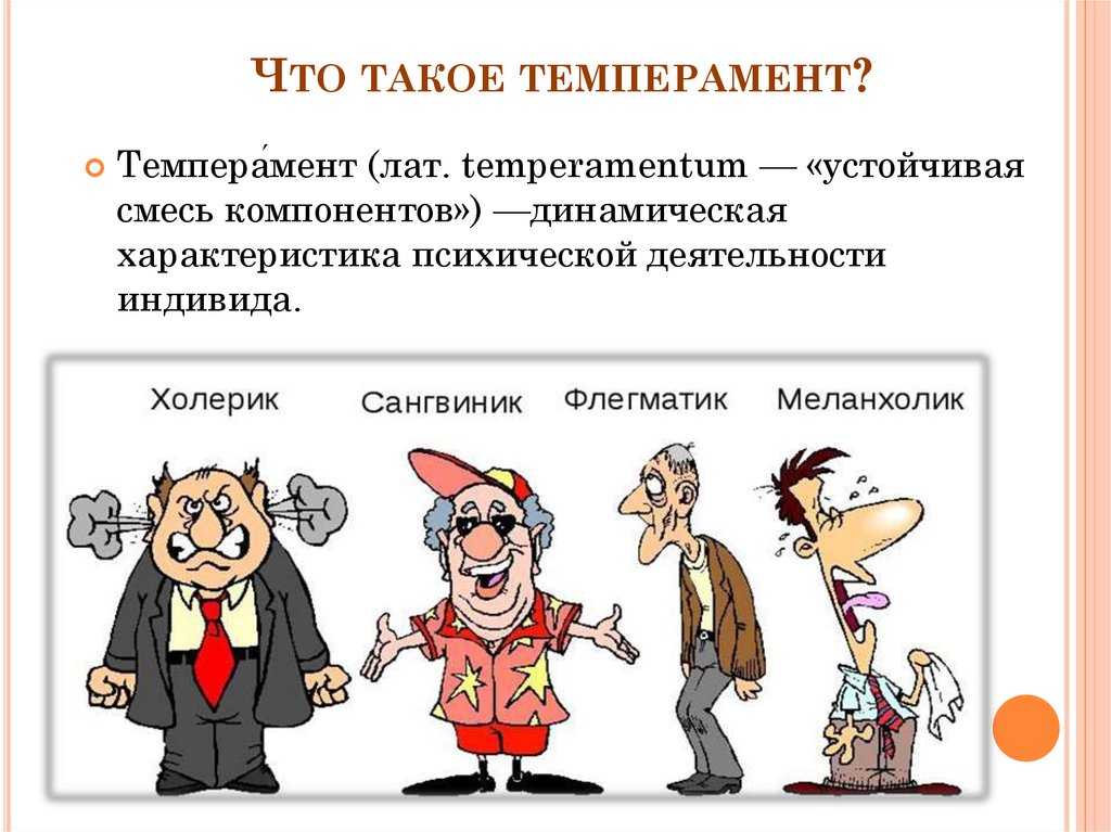 Кто такой гипертим: какие черты присущи психотипу, и как его распознать