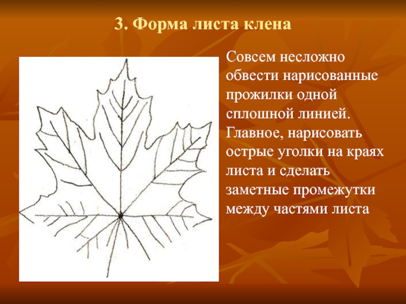 Кленовый лист значение. клён в славянской традиции. значение кленового листа на ювелирном изделии
