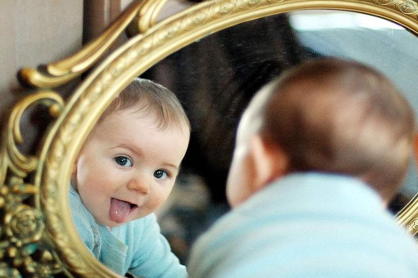 «королевство кривых зеркал» краткое содержание для читательского дневника по сказке губарева (4 класс) – отзыв, главная мысль, сюжет