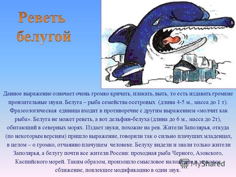 «ты мне зубы не заговаривай» и еще 13 старых русских фразеологизмов: история возникновения