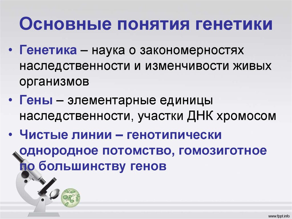 Что такое рецессивный омега и какой у него смысл?