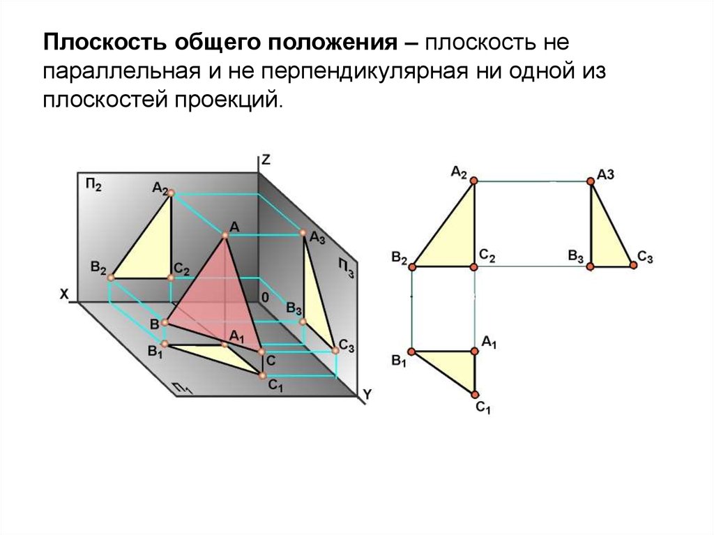 Анатомические условия расположения
