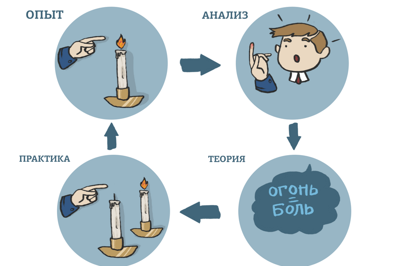 Понятие латерального, краниального, медиального, дистального, проксимального, вентрального и дорсального направлений в анатомии и физиологии