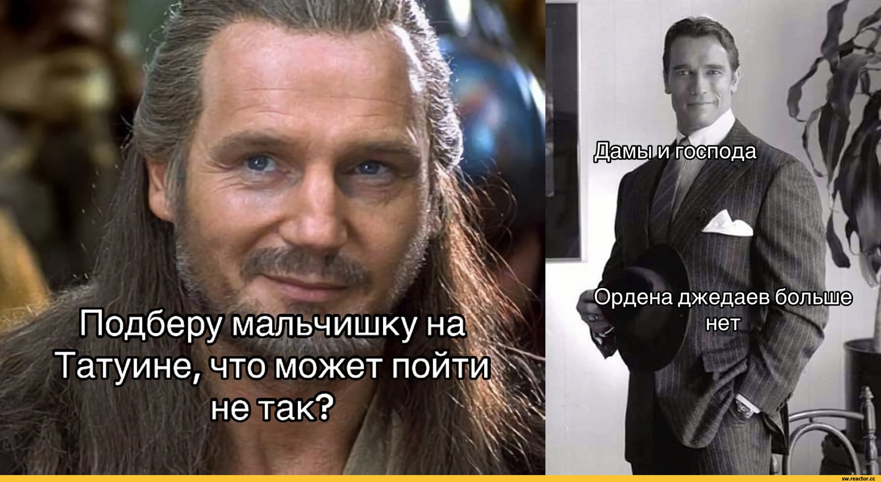 Почему текст стал мемом? вся правда о популярных фразах и выражениях