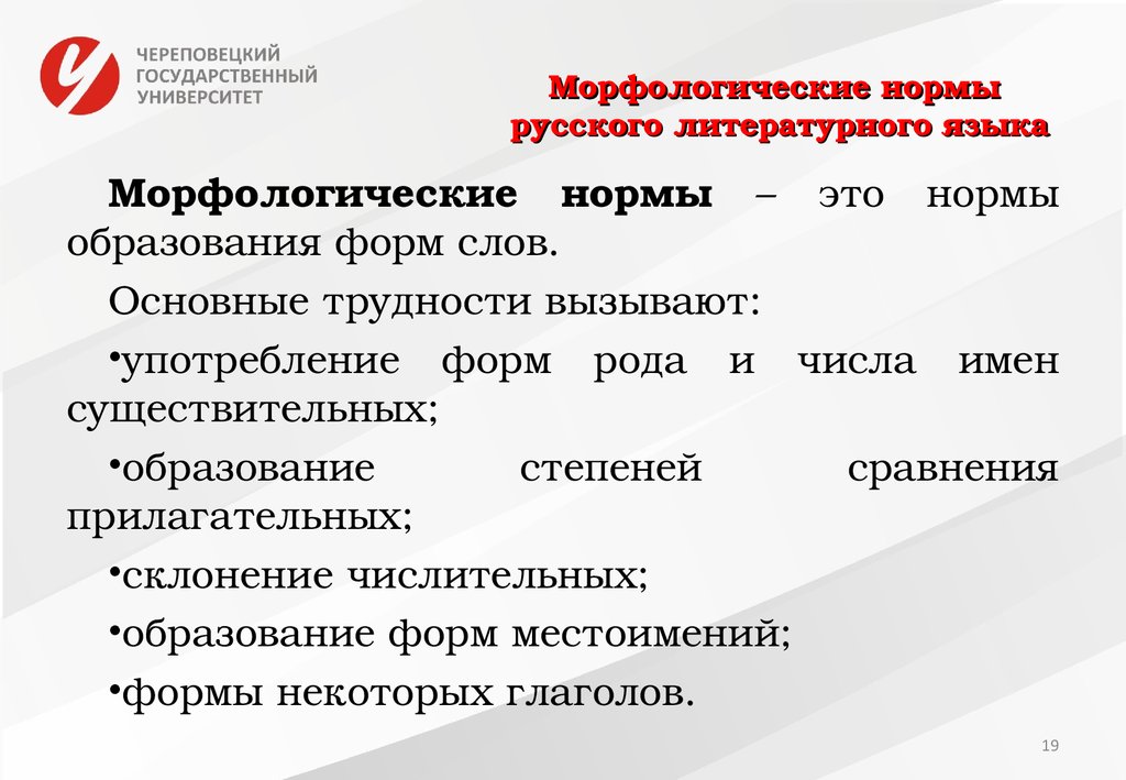 Морфологические признаки существительного - общая характеристика