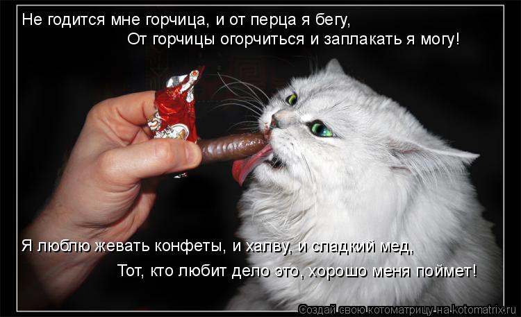 Не гожусь – фраза, которая часто используется в разговорной речи и имеет негативный оттенок Это выражение иногда может звучать как оценка своего