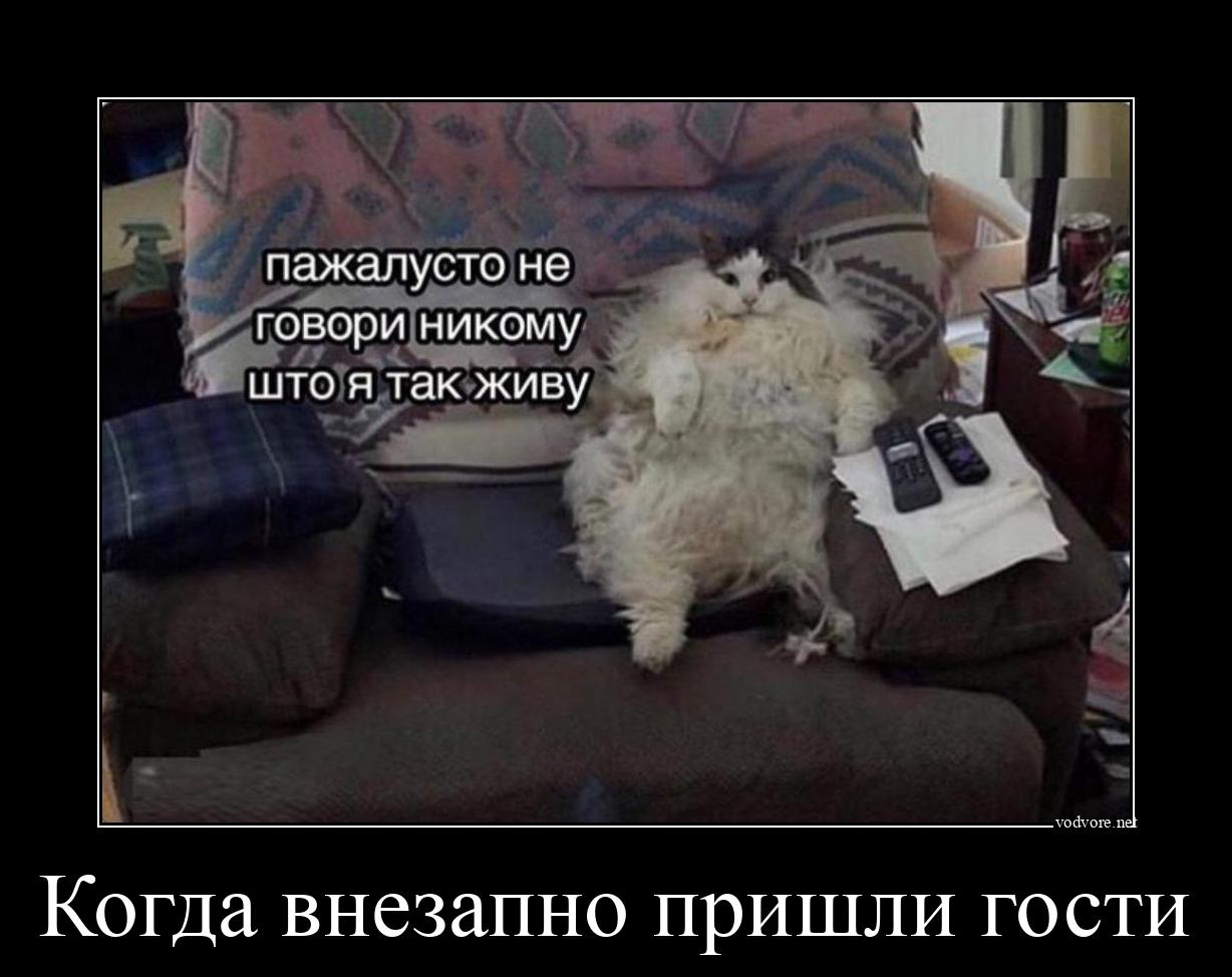 Вариски соситесь и другие словосочетания