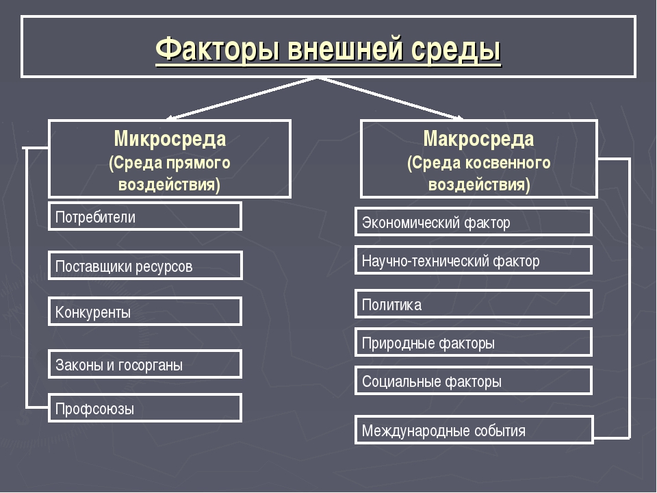 Участие в 450 пп: что это означает и какие права и обязанности имеют участники?