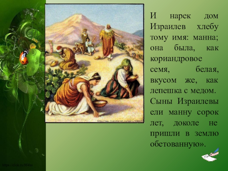 Сила притяжения книжный фразеологизм. книжные и разговорные фразеологизмы: примеры