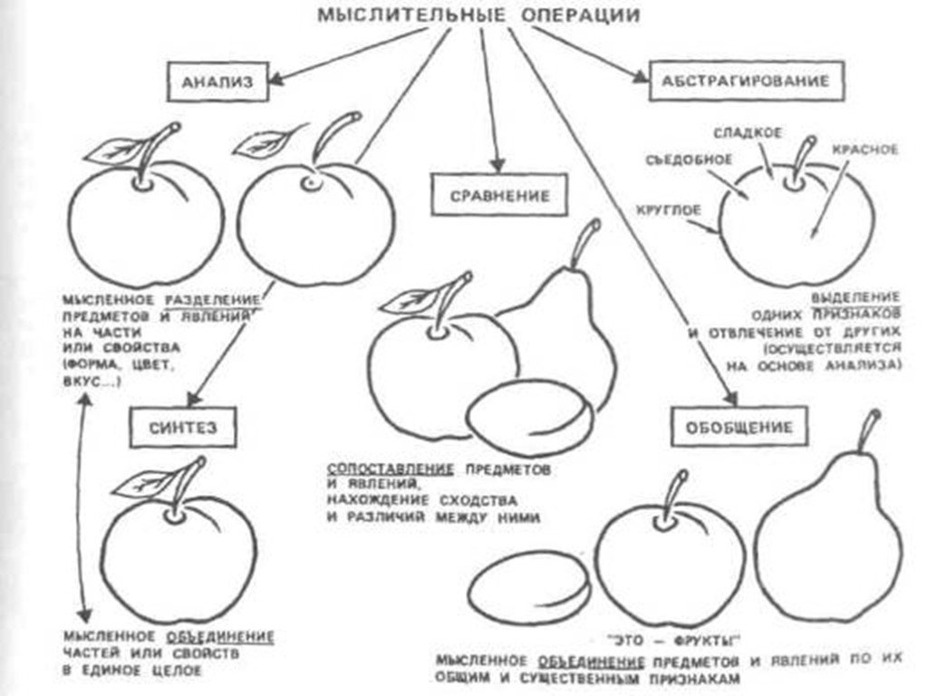 Что значит обширное понятие: расширенное объяснение и примеры