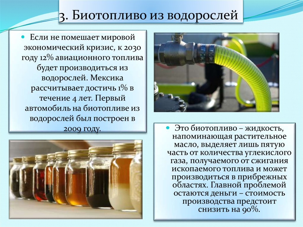 Vdvanr.ru