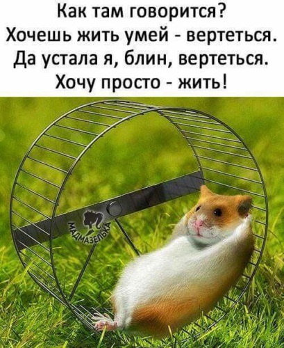 Понимание фразы "хочешь жить - умей вертеться": смысл, значения, применение