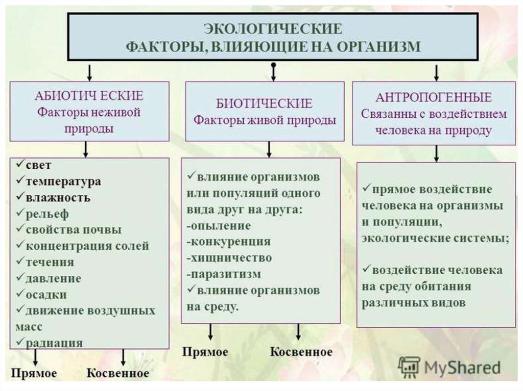 Латентная фаза: “я не тормоз, я медленный газ”(с) – close to heart