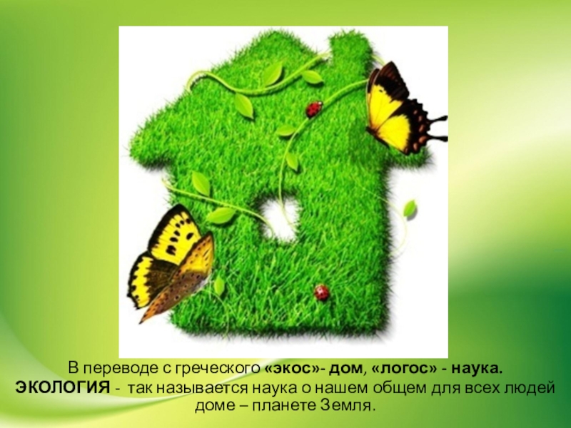 Глубокие корни и многоликое значение - что означают греческие слова "экос" и "логос" - profi-guruask.ru