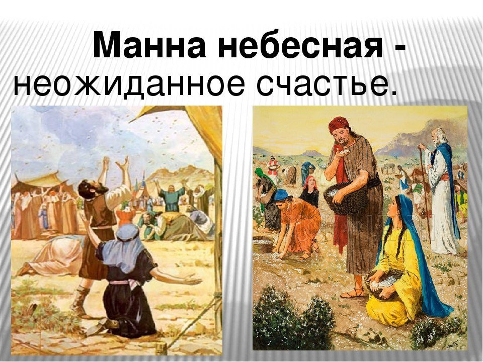 Фразеологизмы: виды, особенности + более 20 примеров использования