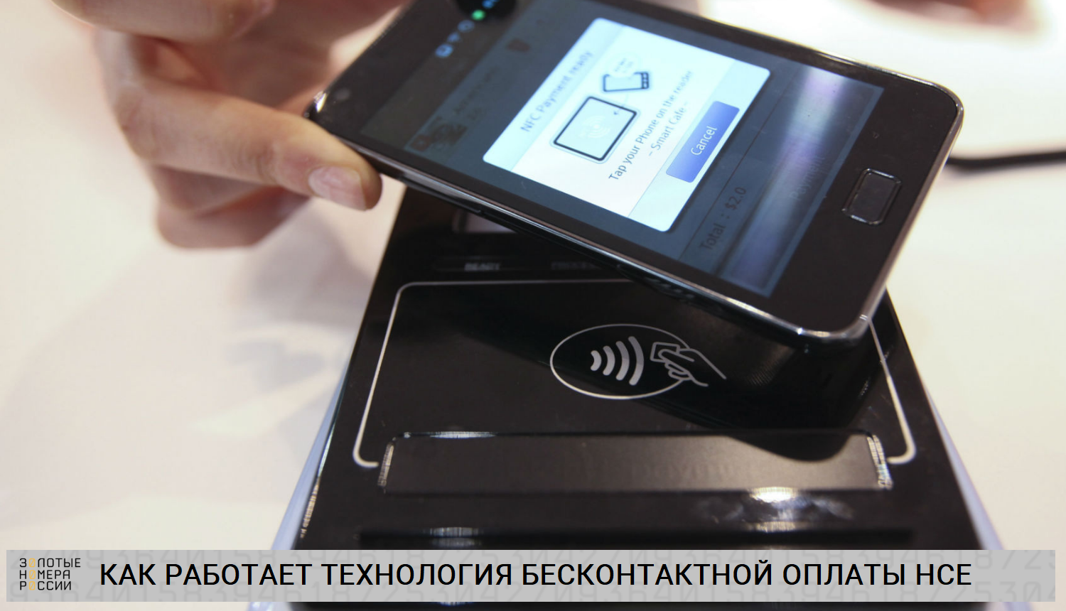 Что такое кошелек hce и кошелек sim - особенности и сравнение