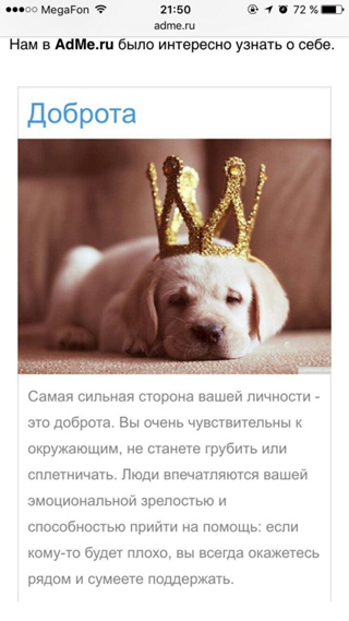 Кличка арчи (archie)