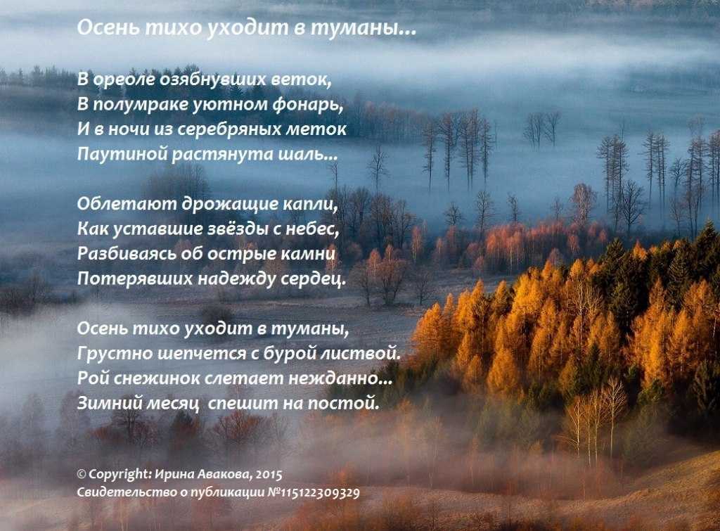 Что означает фразеологизм "звезд с неба не хватает"