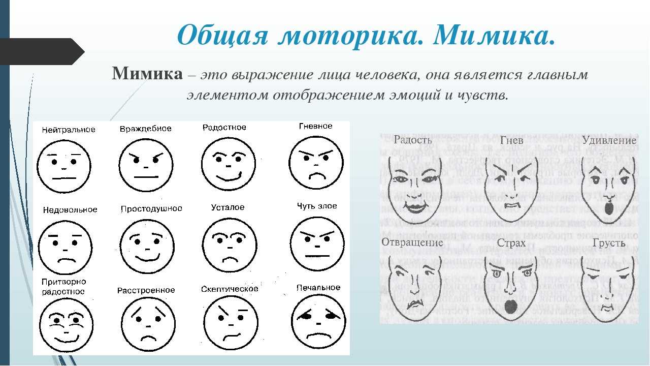 Невербальные жесты в психологии общения: классификация и значения