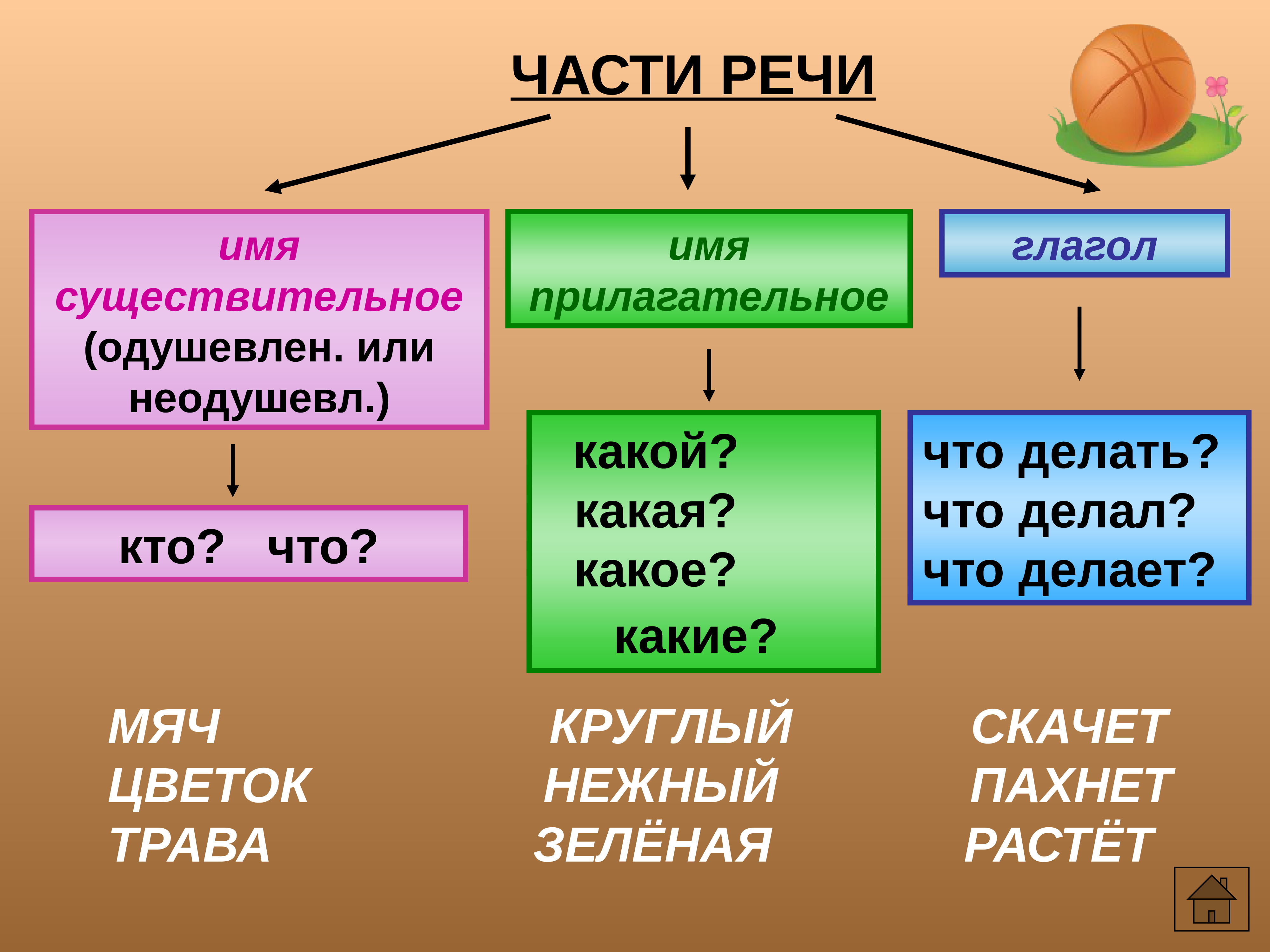 Морфология