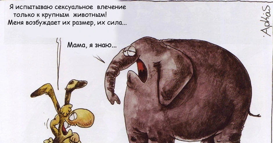 Счастлива как слон что значит