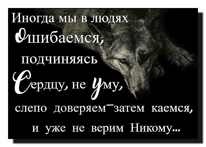 Чем отличается бруталити от фаталити в mortal kombat: объяснение несущих в себе зрелище финишеры