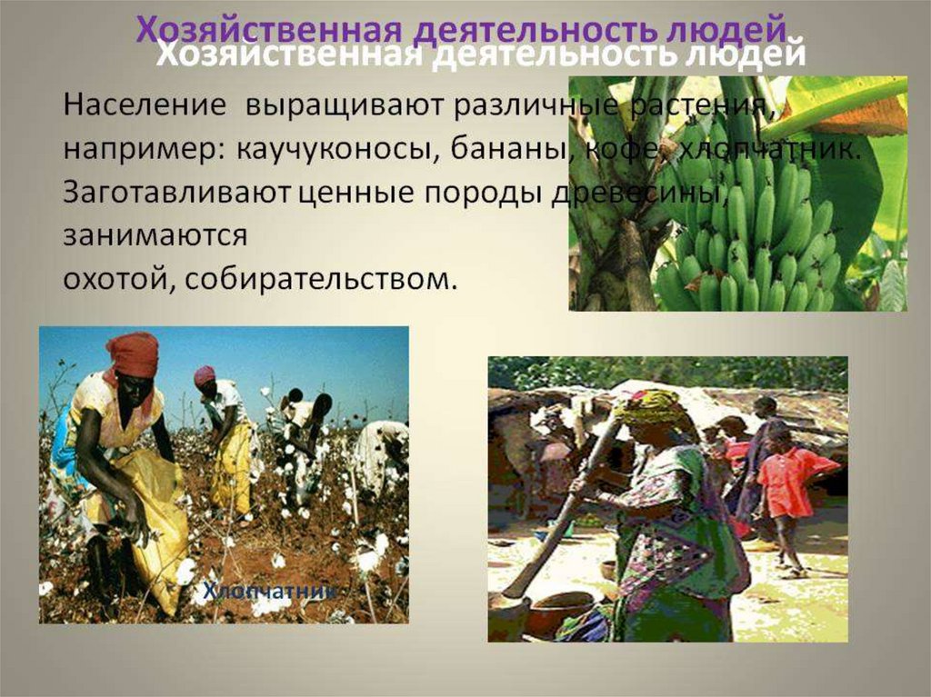 Хозяйственная деятельность людей - виды, особенности и значение для человека — природа мира