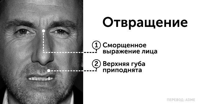 Как себя вести с высокомерными людьми: 5 правил