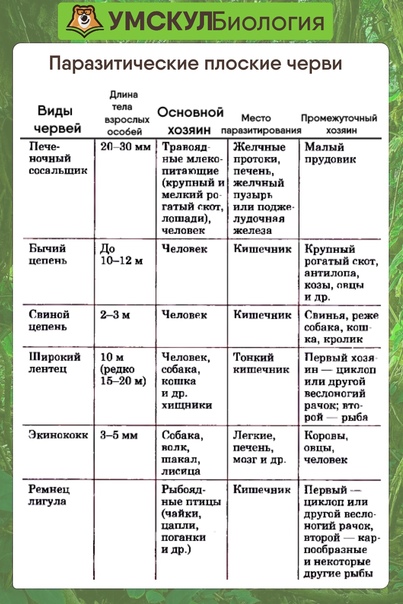 Столовые приборы. 15-19 век