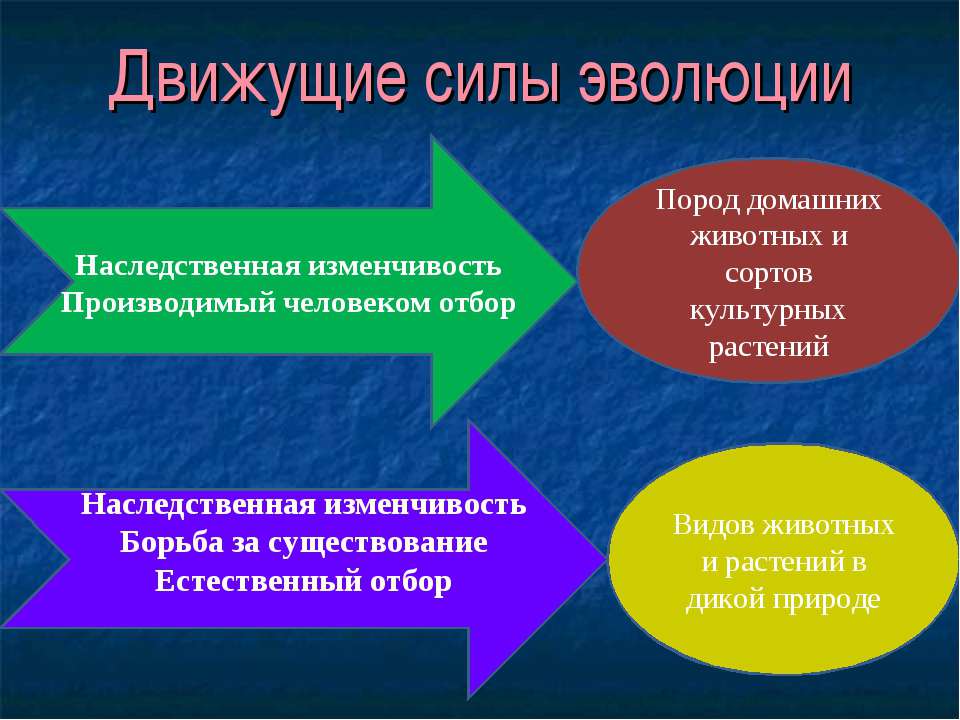 Обществознание