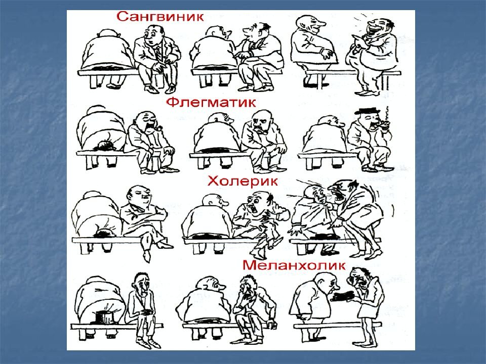 Темперамент  и профессия: как они связаны, правила выборы, преимущества и недостатки