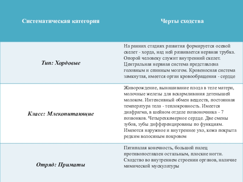 Сходство предметов: определение и примеры