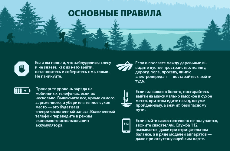 Что такое словосочетание в русском языке - виды, правила и примеры