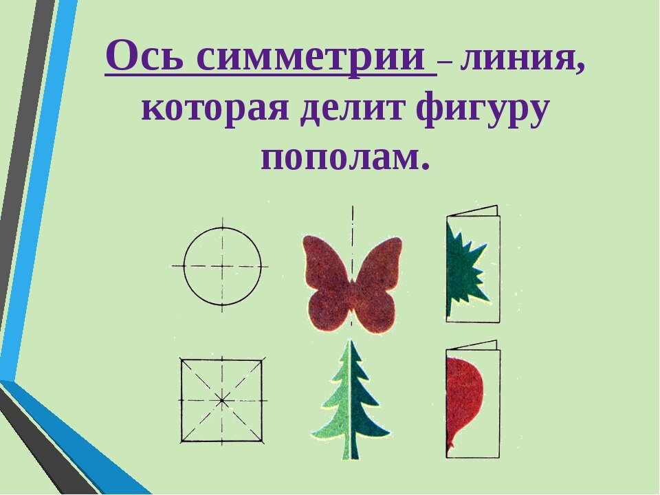 Презентация на тему "путешествие в страну симметрию" по окружающему миру для 2 класса