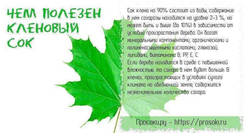 Тату кленовый лист значение у девушек, парней и на зоне