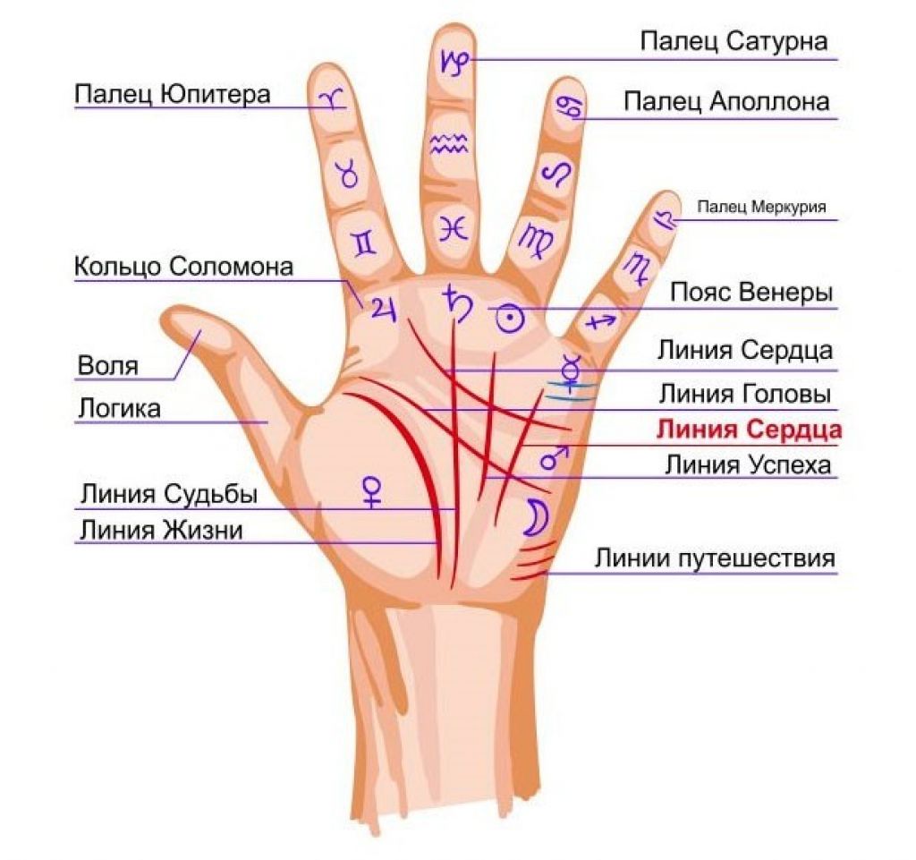 Что означает левая сторона тела? значение символа и знака