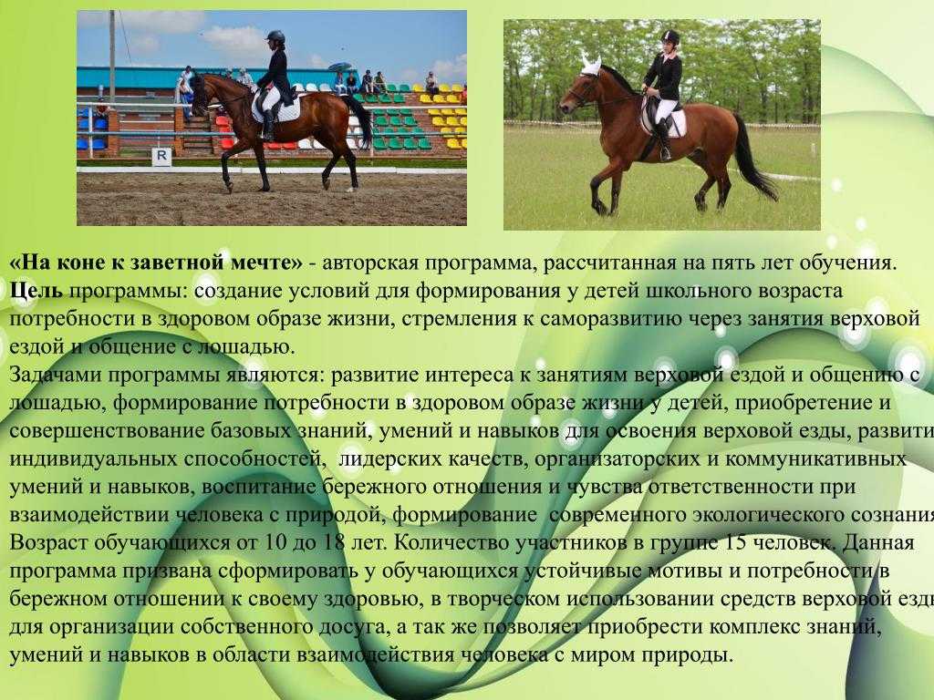 Опутанная лошадь – это необычное явление, с которым могут столкнуться владельцы лошадей Когда лошадь запутывается в веревке или поводе, она часто