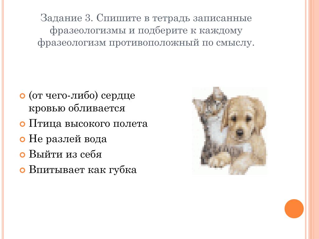 Откуда произошли и что значат популярные фразеологизмы: часть 2
