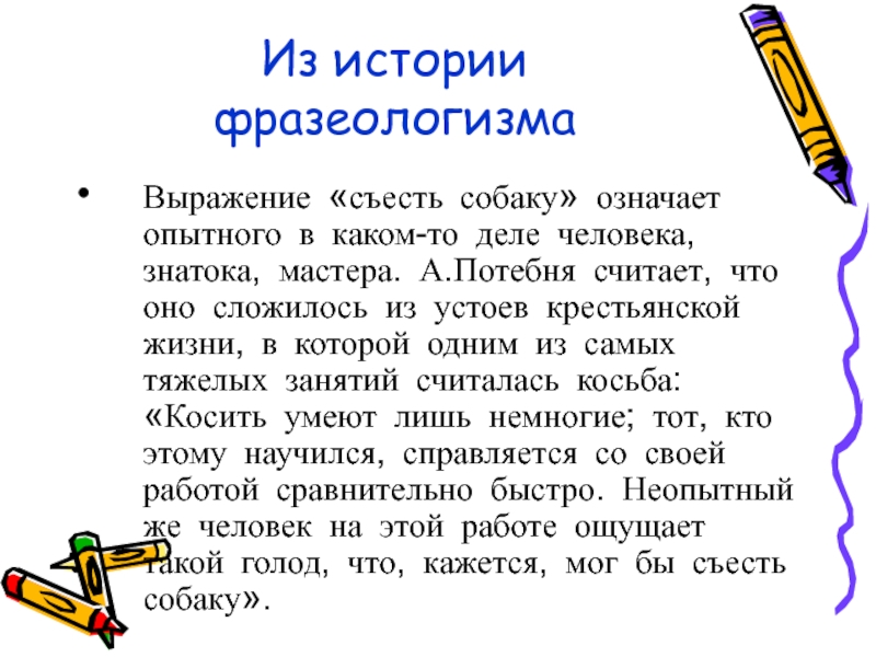 Незнайка афиша