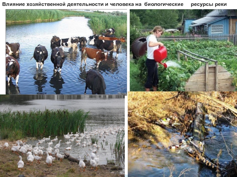 Значение слова «хозяйственный» в 10 онлайн словарях даль, ожегов, ефремова и др. - glosum.ru