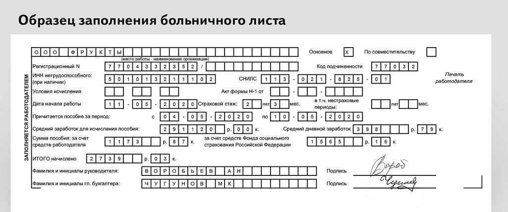 Определение типа элн первичного в больничном листе: полный гид по классификации и механизму подсчета